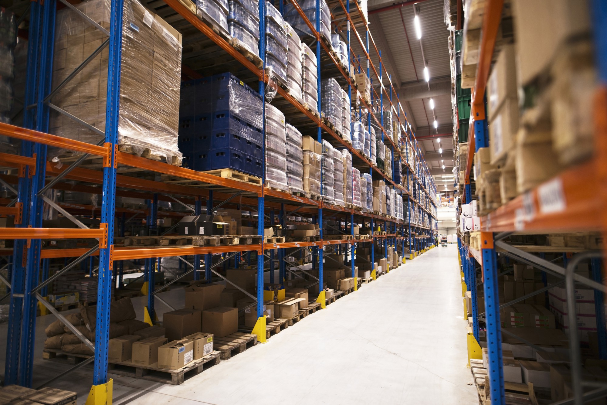 De los almacenes caóticos a la eficiencia total: Optimiza tu logística interna y gana más